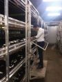 Electric Automatic New mushroom cold storage room