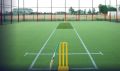 cricket pitch construction services