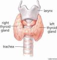 Thyroid Consultation Service