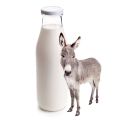 Creamy White Fresh donkey milk