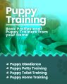 dog training services