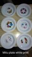 round plastic plates