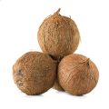 Organic Hard Brown Husked Coconut