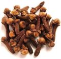 Cloves Seed