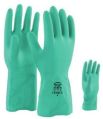 DPL Nitrile Gloves