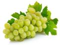 Natural fresh green grapes