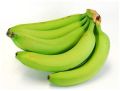 Whole Organic Natural Common farm fresh green banana