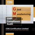 who gmp audit