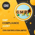 who gmp audit