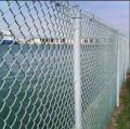 Chainlink Fencing
