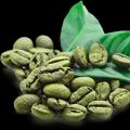 Organic Powder Green Coffee Beans Extract