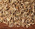 Brown dill seeds
