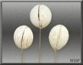 Decorative Mintolla Ball Bleach