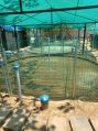 Sree Mahalaxmi 2570 kgs biofloc fish farming tank