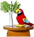 Multicolor Plain parrot soft toy