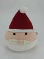 Santa Soft Toy