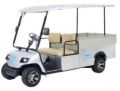 2 Seater White Electric Cargo Car