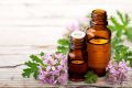 Geranium Essential Oil