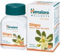 Himalaya Shigru tablets