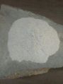 White 200 mesh quartz powder
