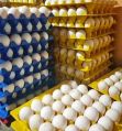 Saroy eggs farm fresh eggs