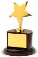 Star Award Trophies