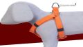 Dog Polyester Spun Regular Harness