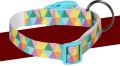 Polyester Multicolor Printed Pets Like dog rainbow design clip collar