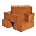 Square Brown coco peat blocks