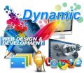 Custom Dynamic Website Development Services