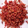 Indian Roots dehydrated red capsicum