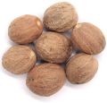 Organic Raw Brown Indian Roots whole nutmeg