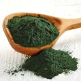 spirulina powder