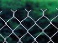 75x75 MM Galvanized Chain Link Fencing