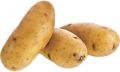 Chipsona Potato
