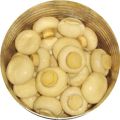 Toppins Button Mushrooms in Brine 800 Gms