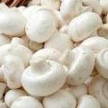Brown White Fresh Button Mushroom