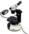 Carl Zeiss Stemi 305 Binocular Microscope