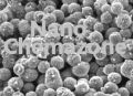 Nano dispersion Nanochemazone Titanium Dioxide
