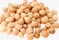 White Chickpeas