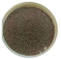 Growel Cp Plus Abis Aarohi Fish Feed Brown Floating And Sinking fish starter feed