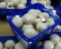 White Canned Button Mushroom
