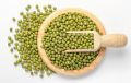 Green Mung Bean