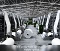 White PP Woven Fabric Roll