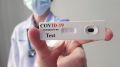 Covid-19 Antigen Test KIT