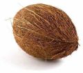 Natural fresh brown coconut