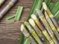 Creamy organic sugarcane