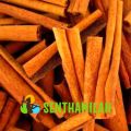 Senthamilan Natural Natural Solid Raw quillings cinnamon roll