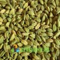 green cardamom