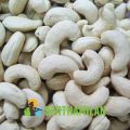 W320 Indian Cashew Nuts